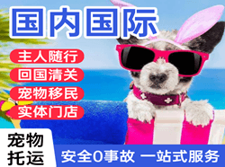 拉萨机场托运国际宠物托运 【国